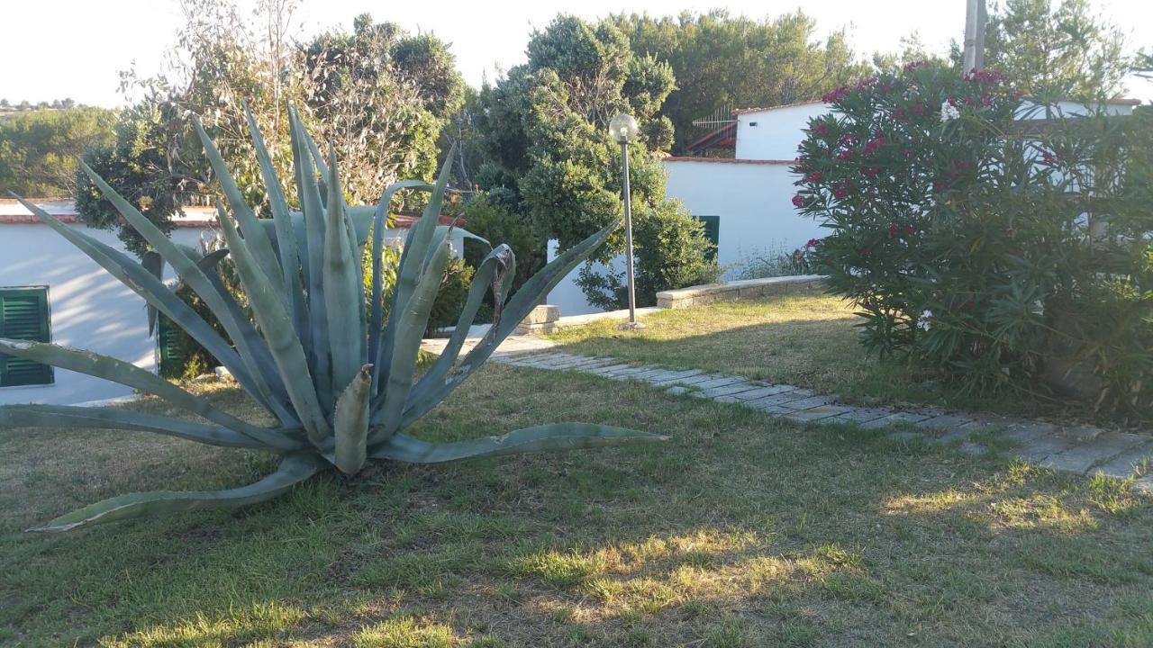 La Dimora Dei Pescatori Villa Vieste Exterior photo